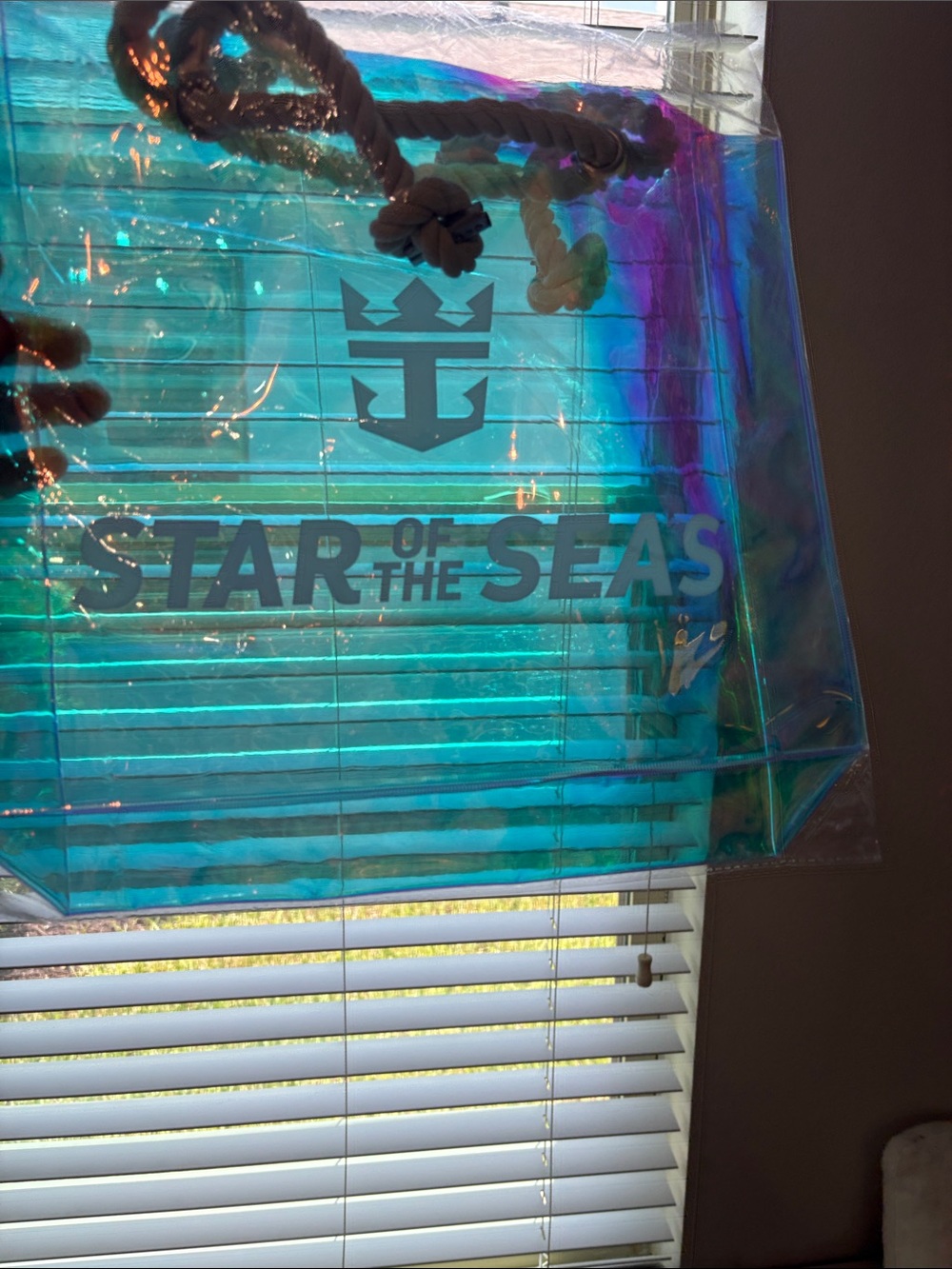 NIB Royal Caribbean Star of the Seas Inaugural Holographic Beach Tote - Picture 4 of 4